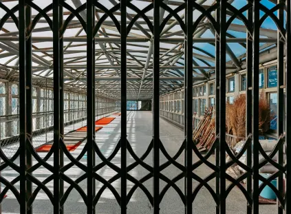 Paripesa Casino Mobile App